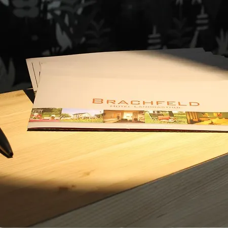 Hotel-landgasthof Brachfeld 3* Sulz am Neckar