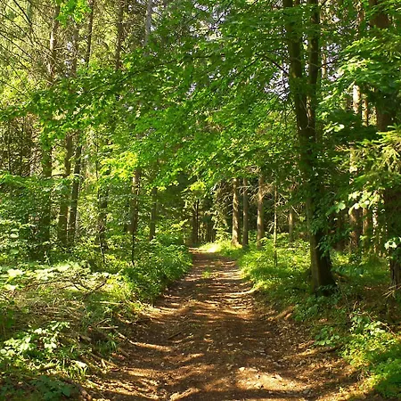 Hotel-landgasthof Brachfeld Konukevi 3*